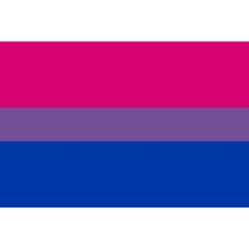 PRIDE - PULSEIRA BANDEIRA BISSEXUAL 90 X 150