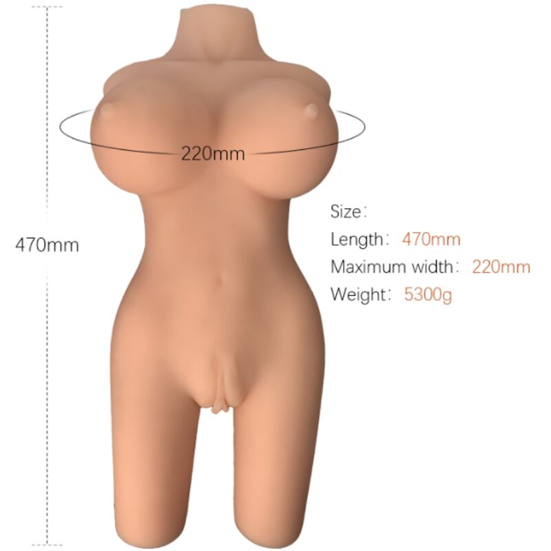 ARMONY - MODELO DE TORSO FEMININO REALISTA 6